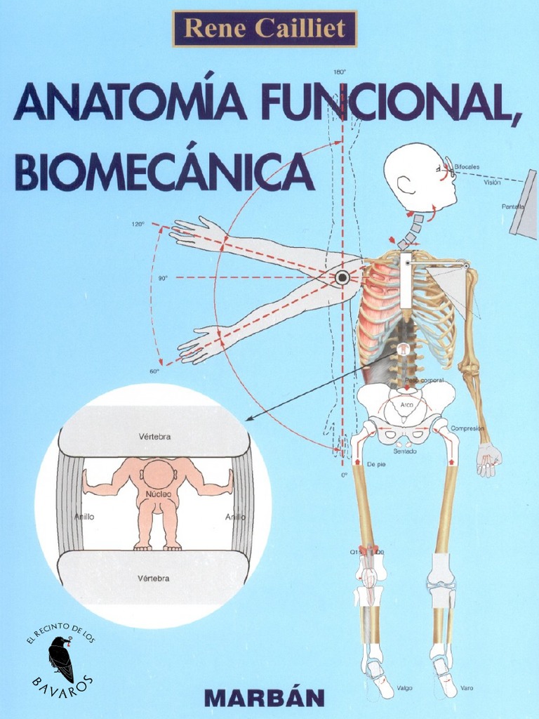 Anatomía funcional biomecanica (Cailliet)